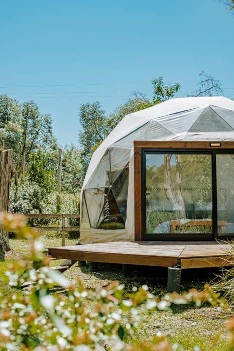 Don Aniceto Lodges & Glamping Luján Exterior photo